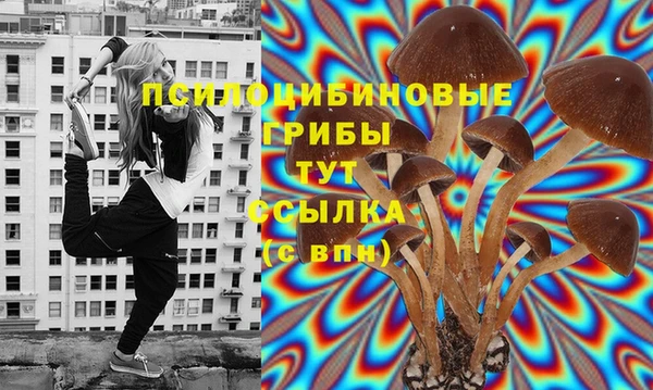 ECSTASY Баксан