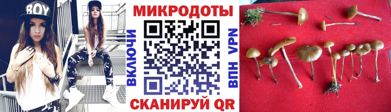 Псилоцибиновые грибы Magic Shrooms цена Верхняя Тура